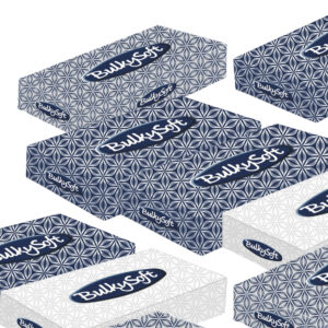 BULKYSOFT CLASSIC Chusteczki higieniczne celulozowe, 40 opakowań, 100 szt.